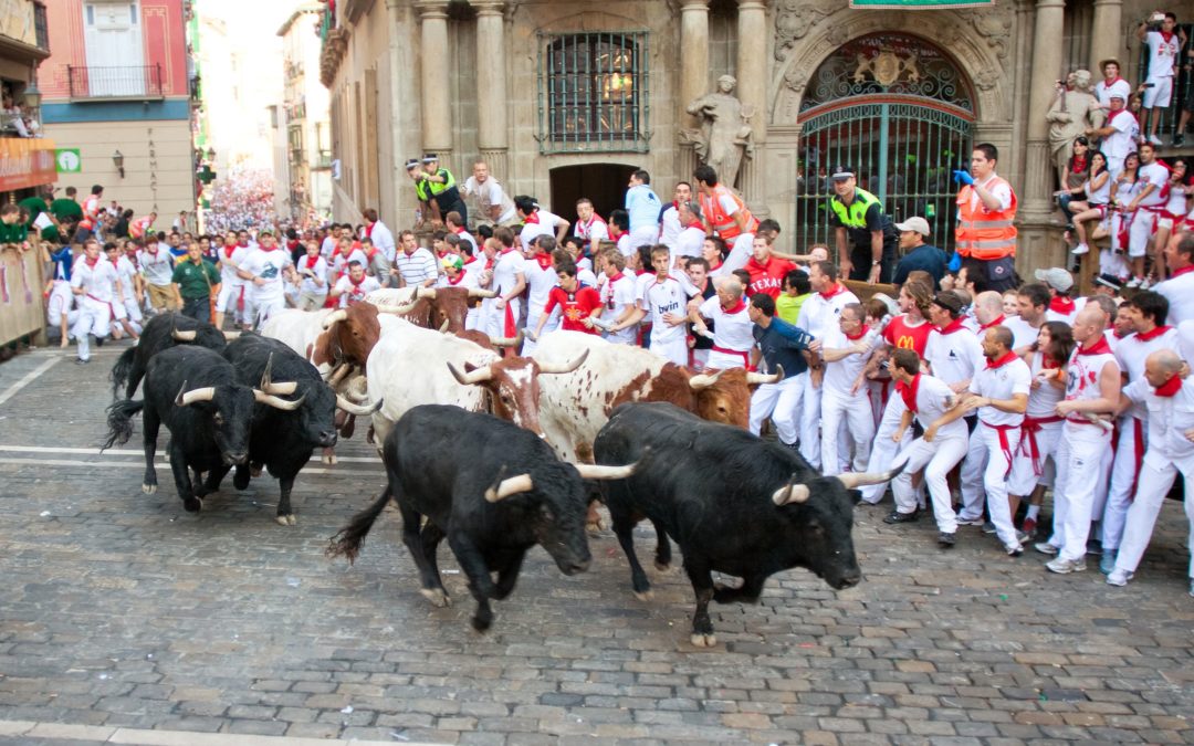 toro-bravo-fighting-bull-canal-capital-management